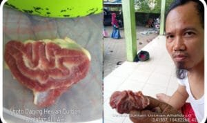 WhatsApp Image 2020-08-04 at 20.21.02 WhatsApp Image 2020 08 04 at 20.21.02