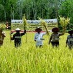 WhatsApp Image 2020 08 13 at 00.28.50