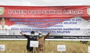 WhatsApp Image 2020 08 16 at 07.23.02