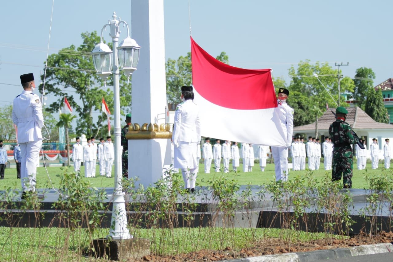 WhatsApp Image 2020 08 17 at 19.57.51