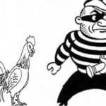 WhatsApp Image 2020 08 28 at 05.40.51