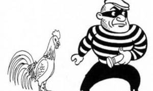 WhatsApp Image 2020 08 28 at 05.40.51