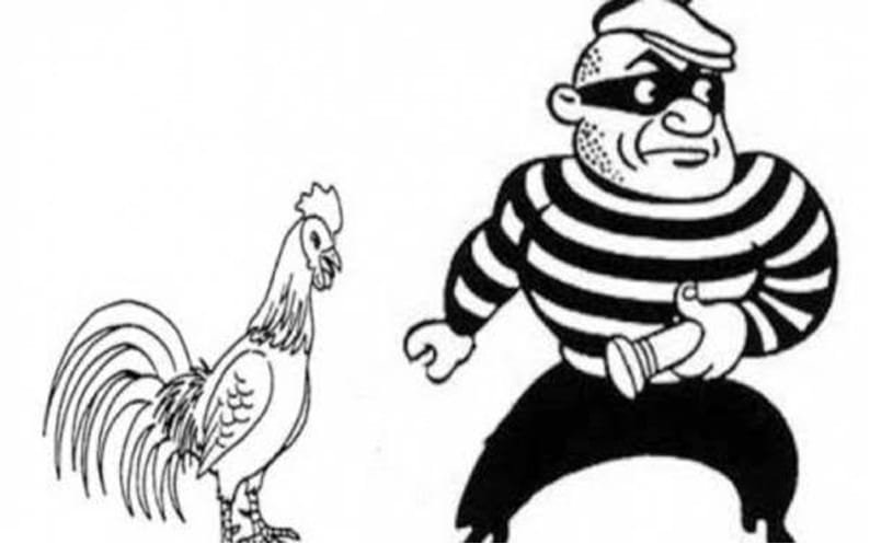 WhatsApp Image 2020 08 28 at 05.40.51