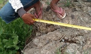 WhatsApp Image 2020 08 29 at 01.31.18(2)