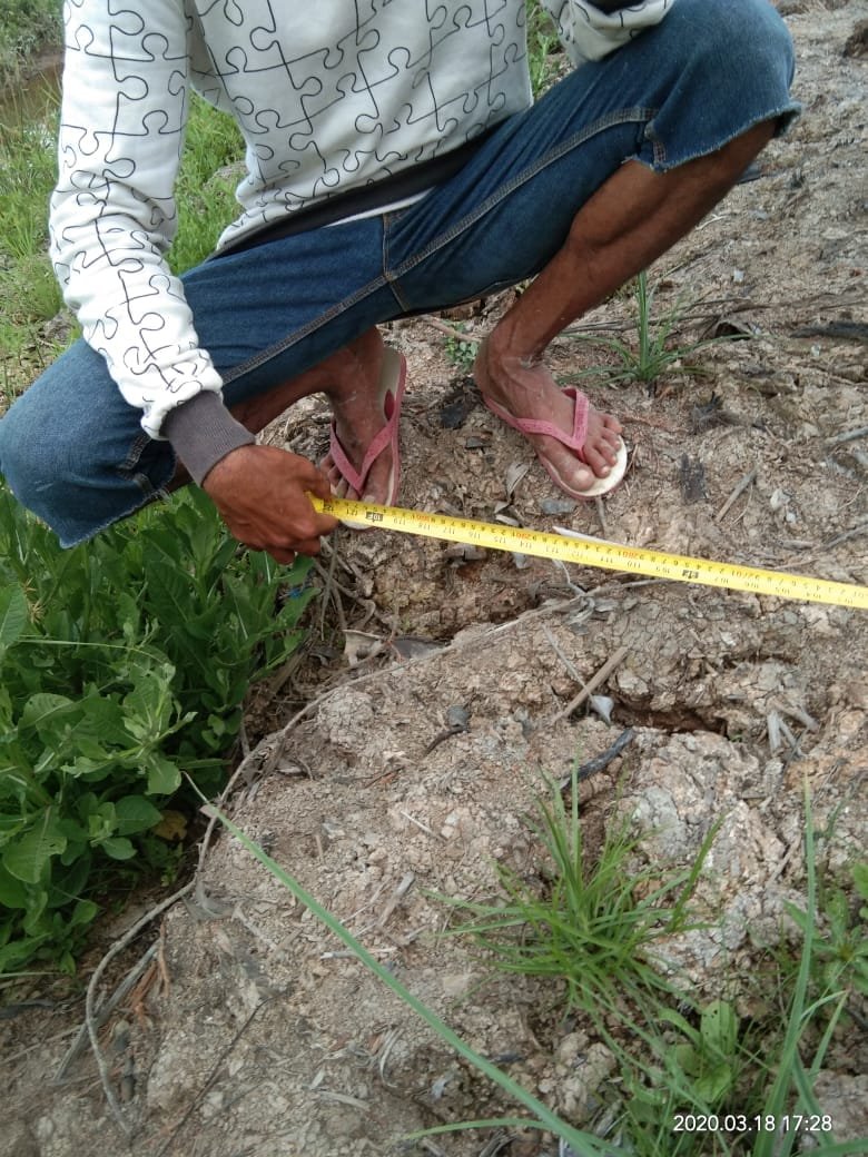 WhatsApp Image 2020-08-29 at 01.31.18(2) Whatsapp image 2020 08 29 at 01.31.18(2)