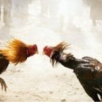 WhatsApp Image 2020 09 04 at 06.43.55