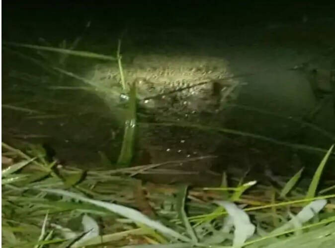 Whatsapp image 2020 09 06 at 20.40.21