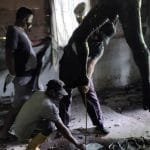 WhatsApp Image 2020-09-12 at 01.16.57(2) WhatsApp Image 2020 09 12 at 01.16.57(2)