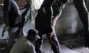 WhatsApp Image 2020 09 12 at 01.16.57(2)