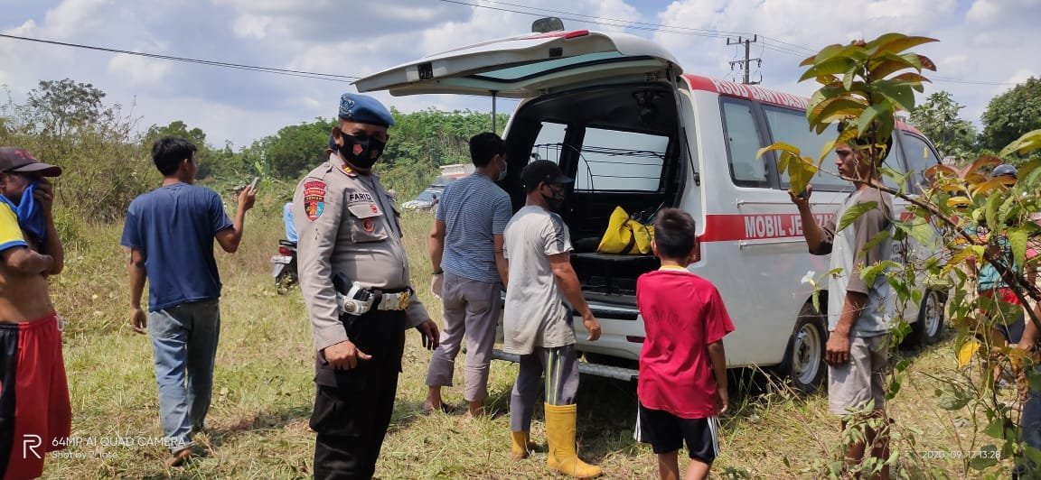 Whatsapp image 2020 09 12 at 08.49.32