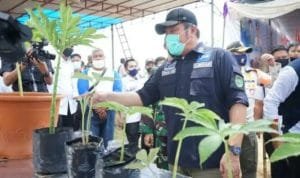 WhatsApp Image 2020 09 16 at 08.29.42