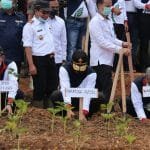 WhatsApp Image 2020 09 17 at 00.35.00