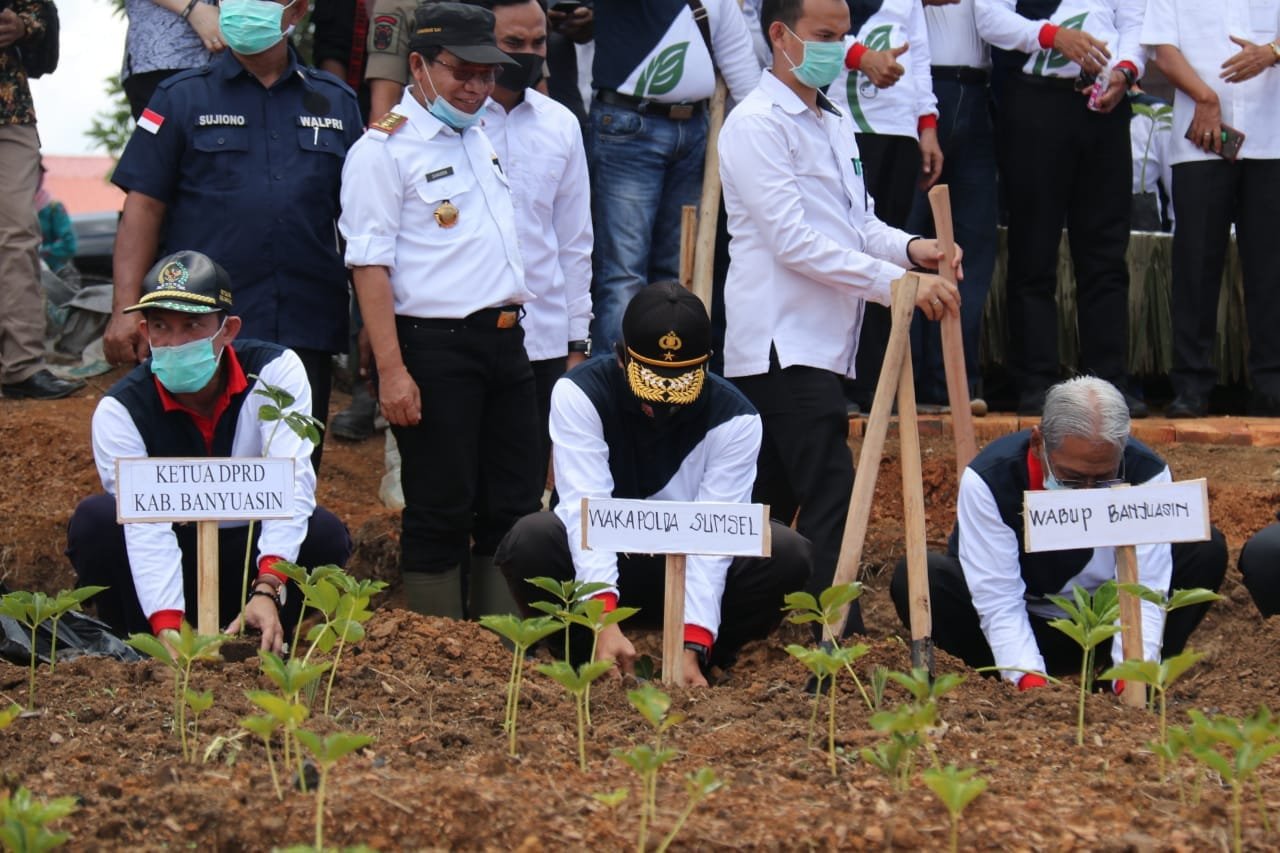 WhatsApp Image 2020 09 17 at 00.35.00