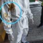 WhatsApp Image 2020 10 03 at 07.40.59