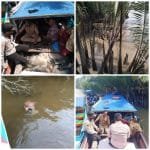 WhatsApp Image 2020-10-06 at 19.31.13 WhatsApp Image 2020 10 06 at 19.31.13