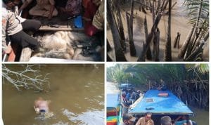 WhatsApp Image 2020-10-06 at 19.31.13 WhatsApp Image 2020 10 06 at 19.31.13