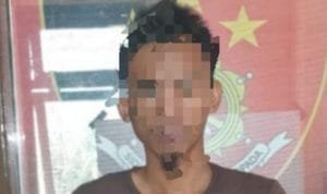 WhatsApp Image 2020 10 15 at 16.05.57