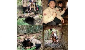 WhatsApp Image 2020 10 15 at 20.19.56