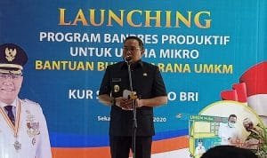 WhatsApp Image 2020 10 22 at 01.44.00