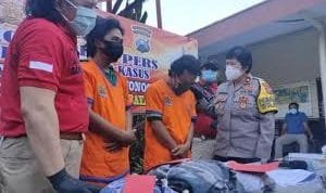 WhatsApp Image 2020 10 24 at 00.17.39