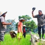 WhatsApp Image 2020-11-01 at 04.09.29 WhatsApp Image 2020 11 01 at 04.09.29