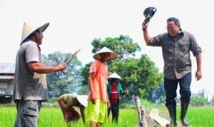 WhatsApp Image 2020 11 01 at 04.09.29