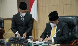 WhatsApp Image 2020 11 02 at 03.39.27