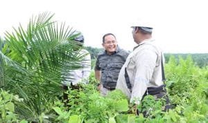 WhatsApp Image 2020 11 15 at 00.08.20