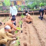 WhatsApp Image 2020-11-17 at 07.11.16 WhatsApp Image 2020 11 17 at 07.11.16