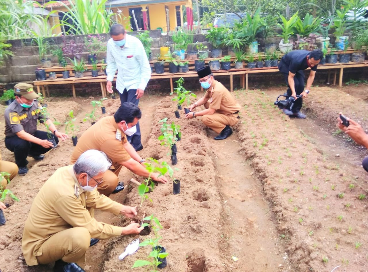 WhatsApp Image 2020 11 17 at 07.11.16