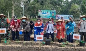 WhatsApp Image 2020 11 26 at 02.03.40