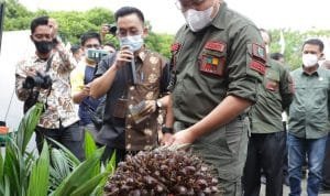 e07b354f-35ea-46ec-af9c-1811d15a4c9f E07b354f 35ea 46ec af9c 1811d15a4c9f