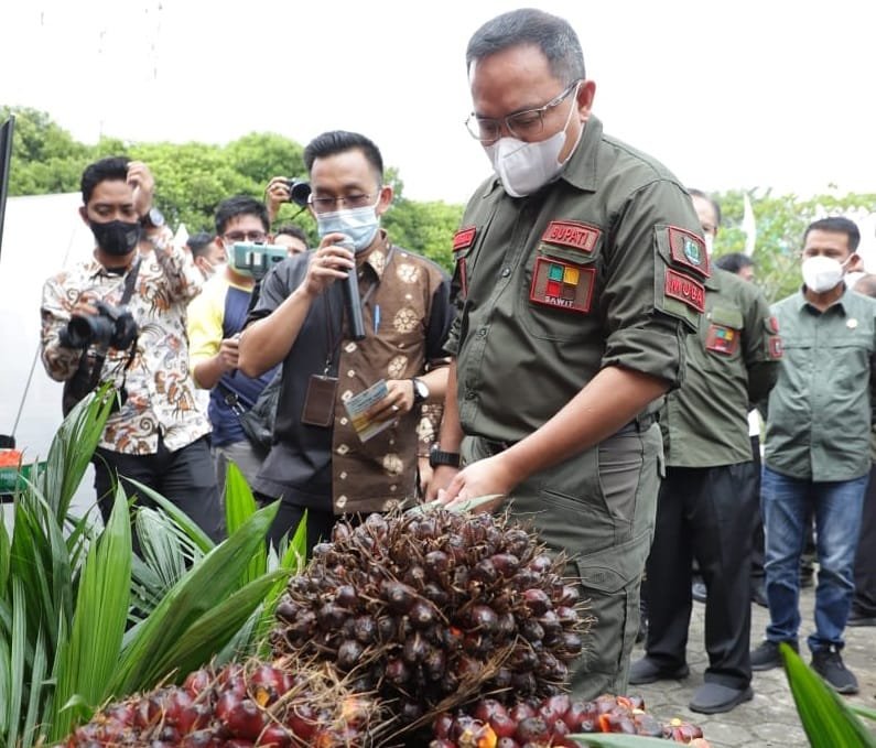 E07b354f 35ea 46ec af9c 1811d15a4c9f