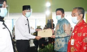 WhatsApp Image 2021 01 13 at 19.07.48