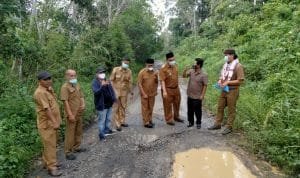 IMG-20210217-WA0047 IMG 20210217 WA0047