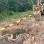 Whatsapp image 2021 02 03 at 23.47.24