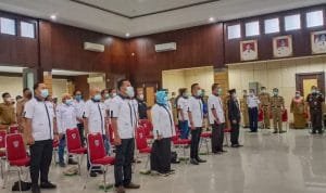 WhatsApp Image 2021 02 14 at 21.11.41