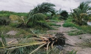 WhatsApp Image 2021 02 23 at 01.16.49