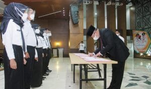 WhatsApp Image 2021 02 25 at 03.41.09