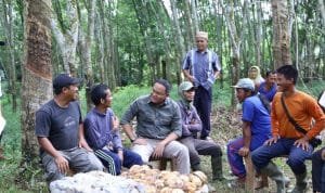 WhatsApp Image 2021 02 27 at 07.01.37