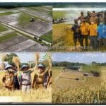 WhatsApp Image 2021-03-01 at 18.19.48 Whatsapp image 2021 03 01 at 18.19.48