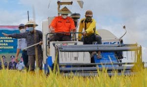 WhatsApp Image 2021 04 10 at 06.30.05