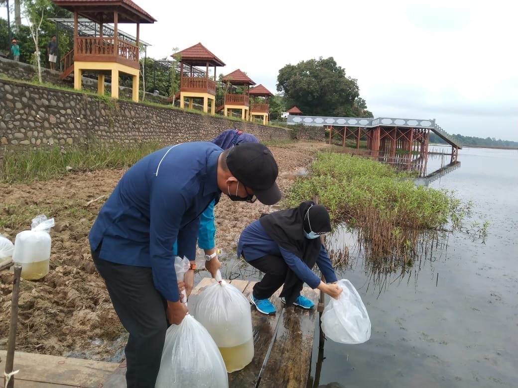 WhatsApp Image 2021-04-30 at 01.07.01 WhatsApp Image 2021 04 30 at 01.07.01