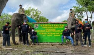 877461e8 09d0 45ec 94d4 c9ddc24960ea