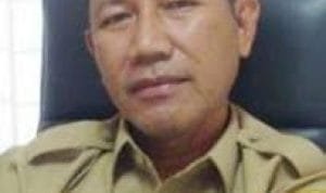 WhatsApp Image 2021-05-07 at 17.33.54 WhatsApp Image 2021 05 07 at 17.33.54