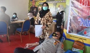 WhatsApp Image 2021 05 21 at 00.39.08