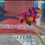 WhatsApp Image 2021 06 04 at 17.39.41