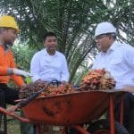 WhatsApp Image 2021 06 05 at 05.15.45