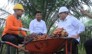 WhatsApp Image 2021-06-05 at 05.15.45 WhatsApp Image 2021 06 05 at 05.15.45