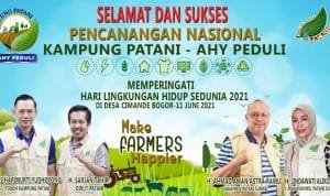 WhatsApp Image 2021 06 16 at 07.22.17